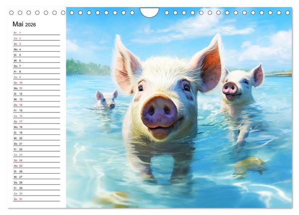 Produktbild: Schweinereien in der Karibik. Sonne und Spa&szlig; mit schwimmenden Schweinen (Wandkalender 2026 DIN A4 quer), CALVENDO Monatskalender