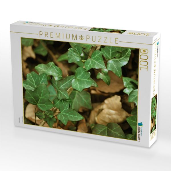 Produktbild: CALVENDO Puzzle Efeuranke | 1000 Teile Lege-Gr&ouml;&szlig;e 64x48cm Foto-Puzzle f&uuml;r gl&uuml;ckliche Stunden