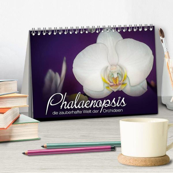 Produktbild: Phalaenopsis - die zauberhafte Welt der Orchideen (Tischkalender 2026 DIN A5 quer), CALVENDO Monatskalender