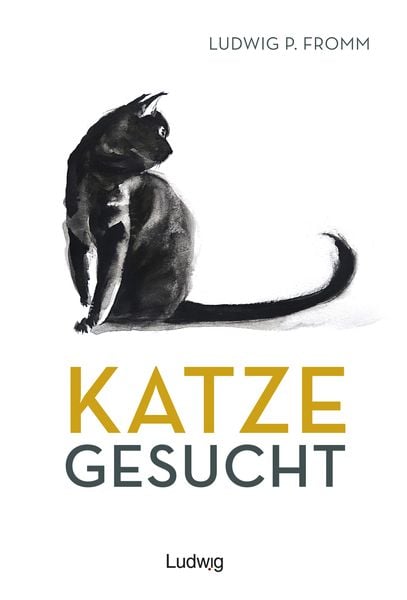 Produktbild: Katze gesucht