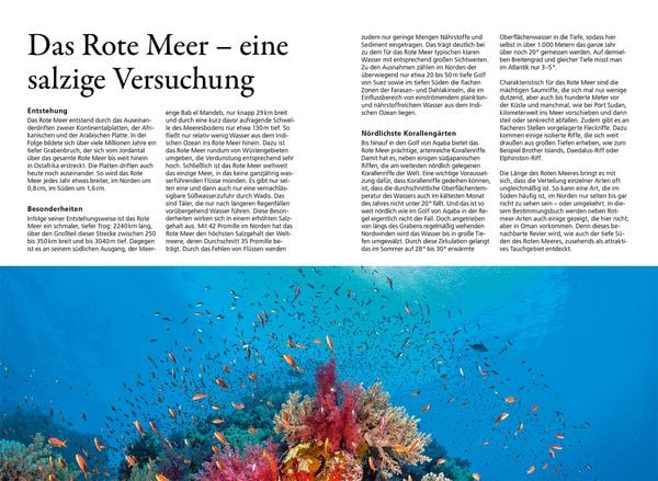 Produktbild: KOSMOS Riff-F&uuml;hrer Rotes Meer