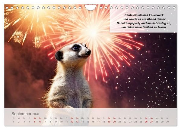 Produktbild: Endlich erfolgreich geschieden (Wandkalender 2026 DIN A4 quer), CALVENDO Monatskalender