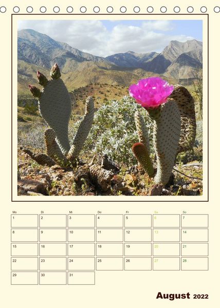 Produktbild: Wilde Kakteen Amerikas (Tischkalender 2022 DIN A5 hoch)