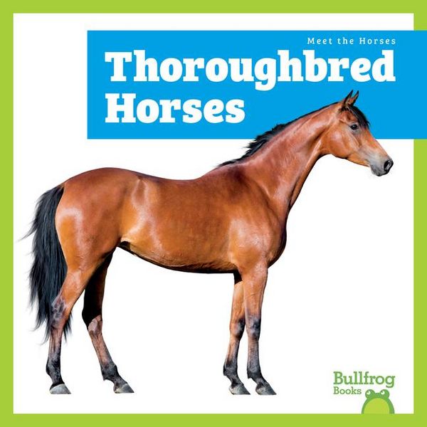Produktbild: Thoroughbred Horses