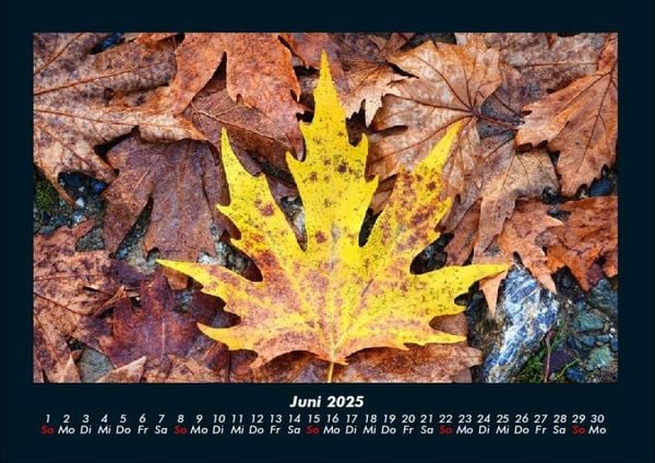 Produktbild: Natur 2025 Fotokalender DIN A4