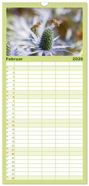 Produktbild: Familienplaner 2026 - Die Wunderwelt der Biene mit 5 Spalten (Wandkalender, 21 x 45 cm) CALVENDO