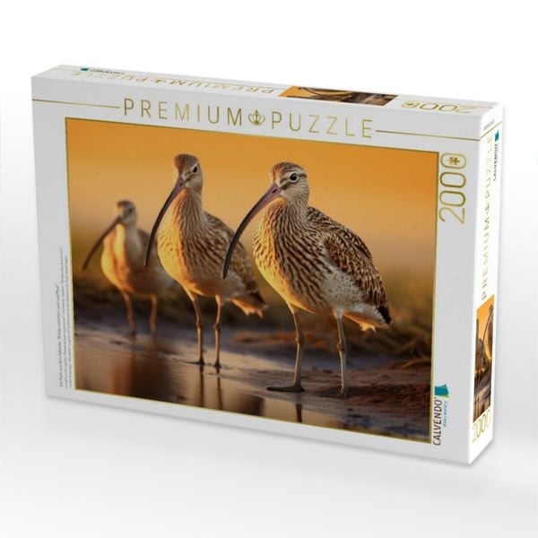 Produktbild: CALVENDO Puzzle Ein Motiv aus dem Kalender "Biotop zwischen Land und Meer" | 2000 Teile Lege-Gr&ouml;&szlig;e 90x67cm Foto-Puzzle f&uuml;r gl&uuml;ckliche Stunden