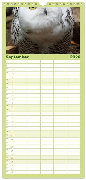 Produktbild: Familienplaner 2026 - Eulen. W&auml;chter der Nacht mit 5 Spalten (Wandkalender, 21 x 45 cm) CALVENDO