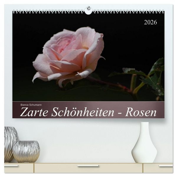 Produktbild: Zarte Sch&ouml;nheiten - Rosen (hochwertiger Premium Wandkalender 2026 DIN A2 quer), Kunstdruck in Hochglanz