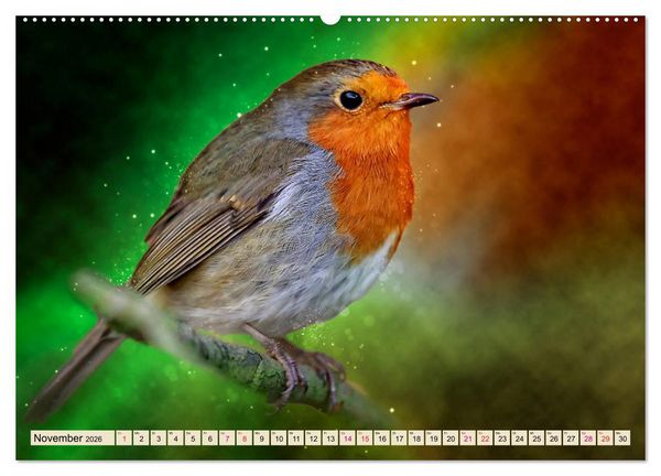 Produktbild: Bei uns im Garten - Rotkehlchen (Wandkalender 2026 DIN A2 quer), CALVENDO Monatskalender