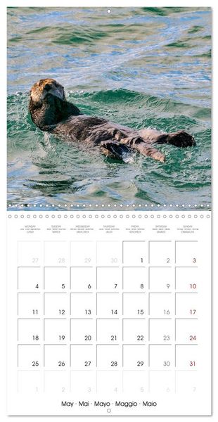Produktbild: Wildlife in Alaska (Wall Calendar 2026 12 &times; 12 Inch) CALVENDO 12 Month Wall Calendar