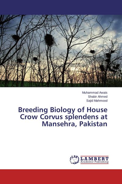 Produktbild: Breeding Biology of House Crow Corvus splendens at Mansehra, Pakistan