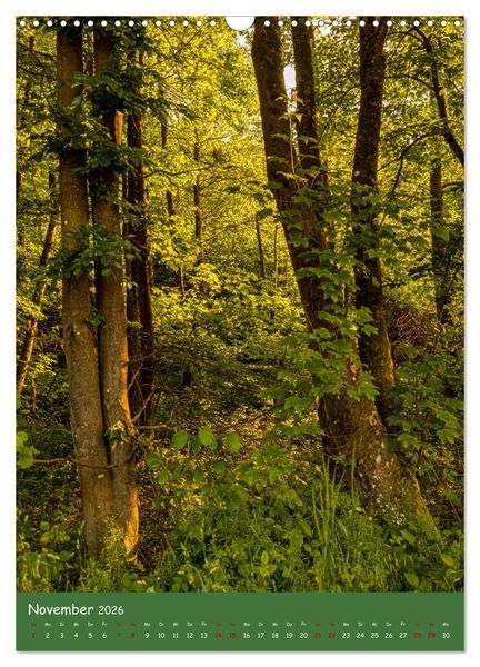 Produktbild: Ich bin dann mal im Wald (Wandkalender 2026 DIN A3 hoch), CALVENDO Monatskalender
