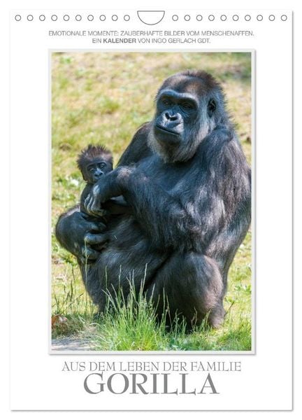 Emotionale Momente: Aus dem Leben der Familie Gorilla. (Wandkalender 2026 DIN A4 hoch), CALVENDO Monatskalender