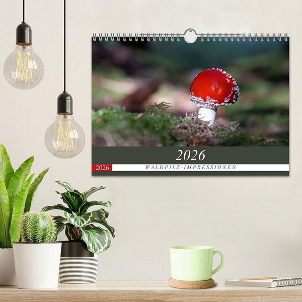 Produktbild: Waldpilz-Impressionen (Wandkalender 2026 DIN A4 quer), CALVENDO Monatskalender