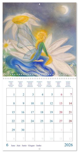 Produktbild: Colorful Fairies (Wall Calendar 2026 12 &times; 12 Inch) CALVENDO 12 Month Wall Calendar