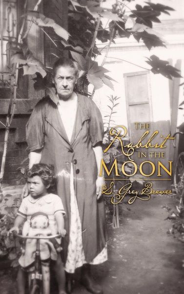 Produktbild: The Rabbit in the Moon