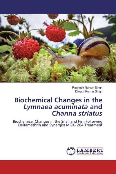 Produktbild: Biochemical Changes in the Lymnaea acuminata and Channa striatus