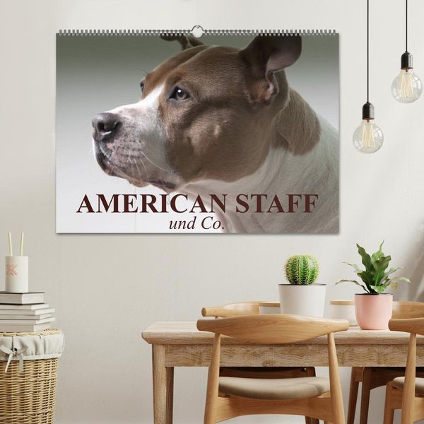 Produktbild: American Staff und Co. (Wandkalender 2026 DIN A2 quer), CALVENDO Monatskalender