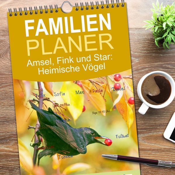 Produktbild: Familienplaner 2026 - Amsel, Fink und Star: Heimische V&ouml;gel mit 5 Spalten (Wandkalender, 21 x 45 cm) CALVENDO