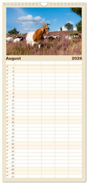 Produktbild: Familienplaner 2026 - Geliebte Tiere auf dem Bauernhof mit 5 Spalten (Wandkalender, 21 x 45 cm) CALVENDO