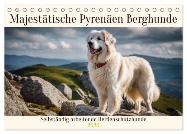 Produktbild: Majest&auml;tische Pyren&auml;en Berghunde (Tischkalender 2026 DIN A5 quer), CALVENDO Monatskalender