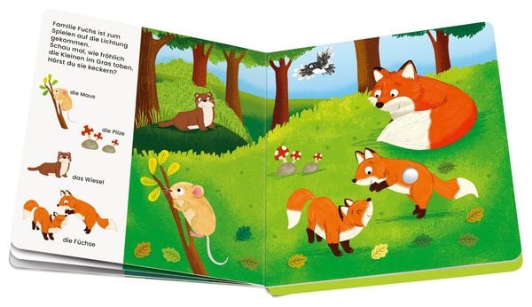 Produktbild: Play+ Mein allererstes Soundbuch Tiere im Wald - ab 12 Monate