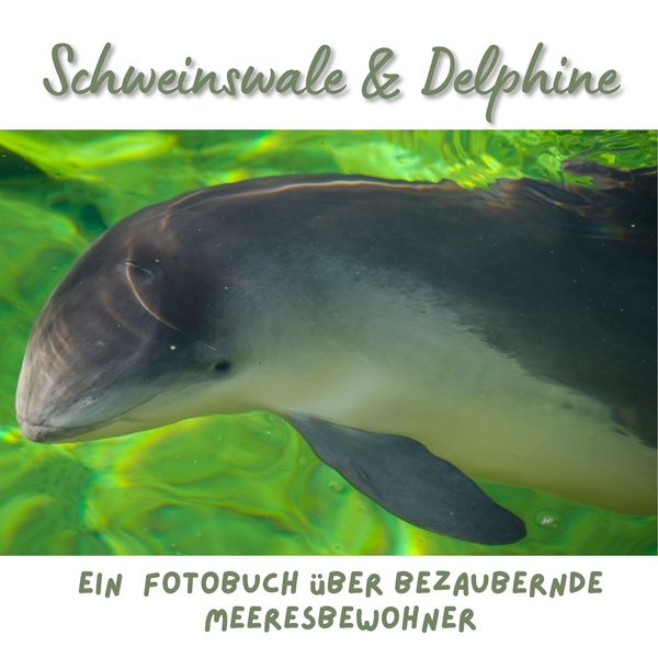 Produktbild: Schweinswale & Delphine