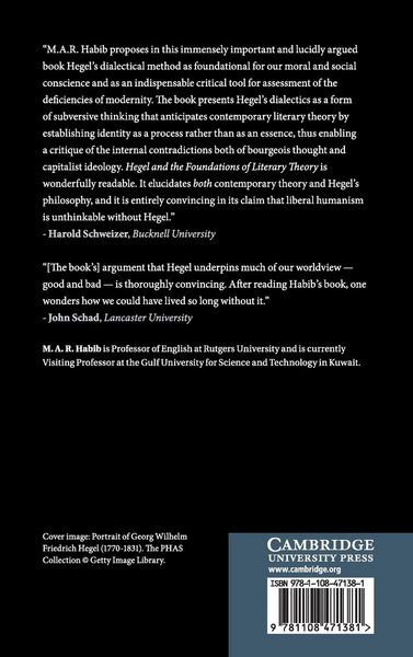 Produktbild: Hegel and the Foundations of Literary Theory