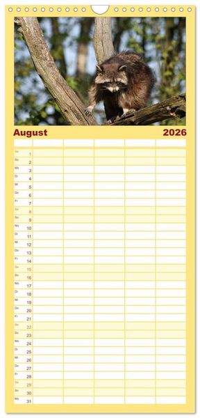 Produktbild: Familienplaner 2026 - Waschb&auml;ren mit 5 Spalten (Wandkalender, 21 x 45 cm) CALVENDO