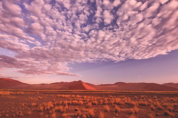 Produktbild: 100 Highlights Afrikas S&uuml;den
