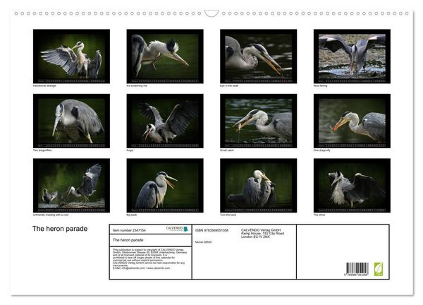 Produktbild: The heron parade (Wall Calendar 2027 DIN A2 landscape), CALVENDO 12 Month Wall Calendar