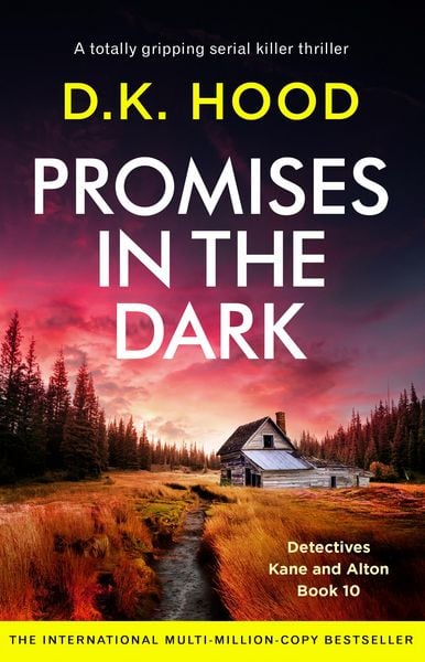 Produktbild: Promises in the Dark
