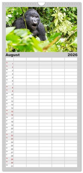 Produktbild: Familienplaner 2026 - Gorillas ohne Nebel mit 5 Spalten (Wandkalender, 21 x 45 cm) CALVENDO