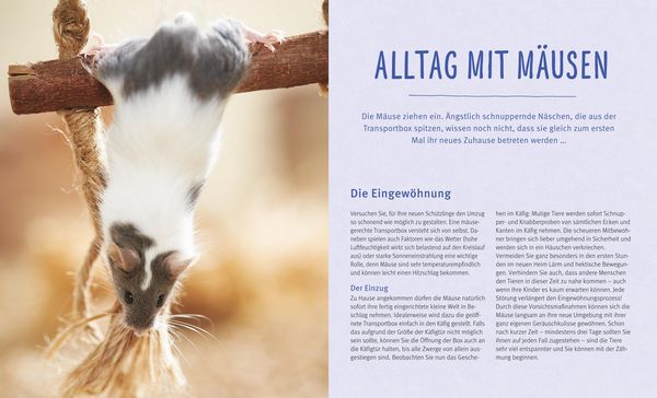 Produktbild: M&auml;use