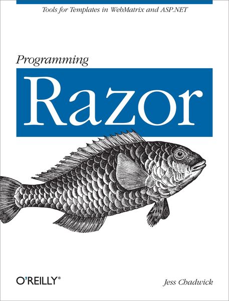Produktbild: Programming Razor