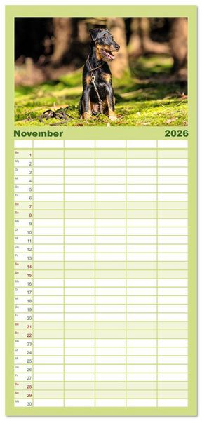 Produktbild: Familienplaner 2026 - Deutscher Terrier - ein leidenschaftlicher J&auml;ger mit 5 Spalten (Wandkalender, 21 x 45 cm) CALVENDO