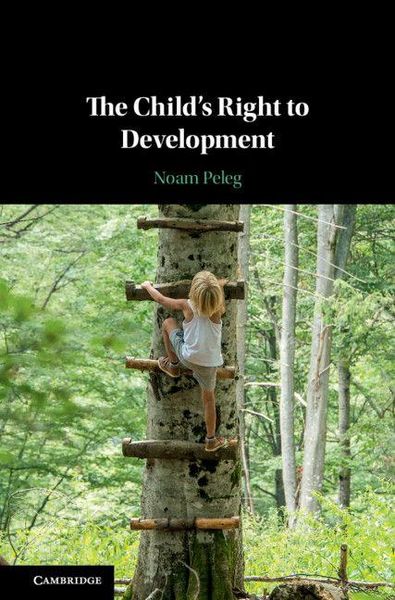 Produktbild: The Child's Right to Development