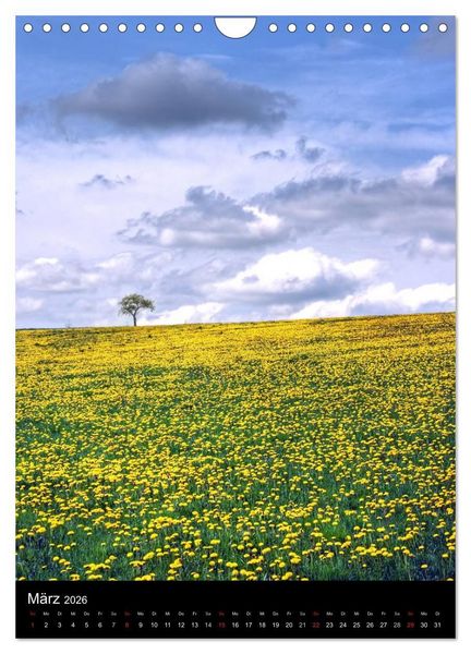 Produktbild: Landschaften (Wandkalender 2026 DIN A4 hoch), CALVENDO Monatskalender
