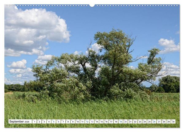 Produktbild: Ein Sommer im Havelland - Spaziergang entlang am Havelradweg (hochwertiger Premium Wandkalender 2026 DIN A2 quer), Kunstdruck in Hochglanz