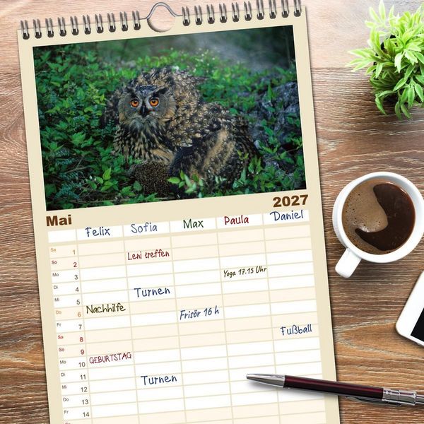 Produktbild: Familienplaner 2027 - Heimische Eulen und Greife mit 5 Spalten (Wandkalender, 21 x 45 cm) CALVENDO