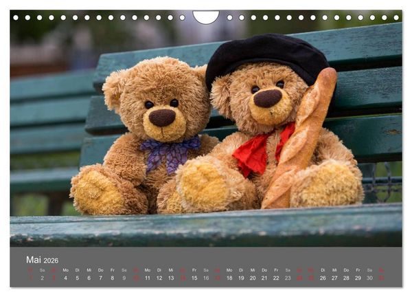 Produktbild: Travelling Teddy 2026 (Wandkalender 2026 DIN A4 quer), CALVENDO Monatskalender