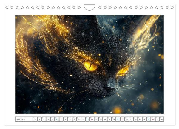 Produktbild: Samtpfoten-Sinfonie (Wandkalender 2026 DIN A4 quer), CALVENDO Monatskalender