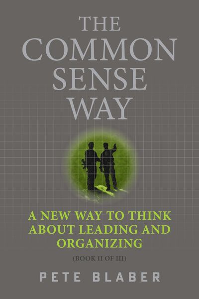Produktbild: The Common Sense Way
