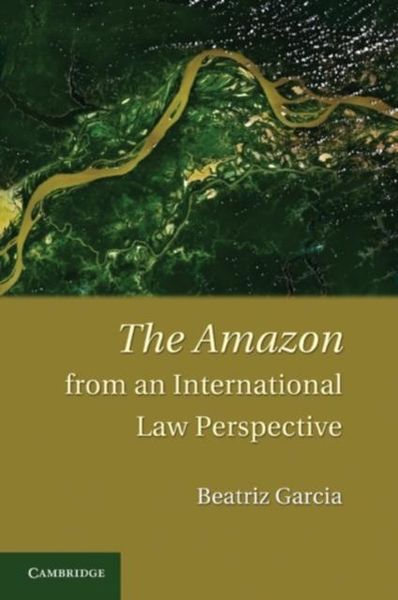 Produktbild: Amazon from an International Law Perspective