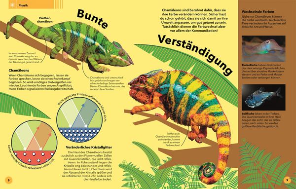 Produktbild: Tierisch clever