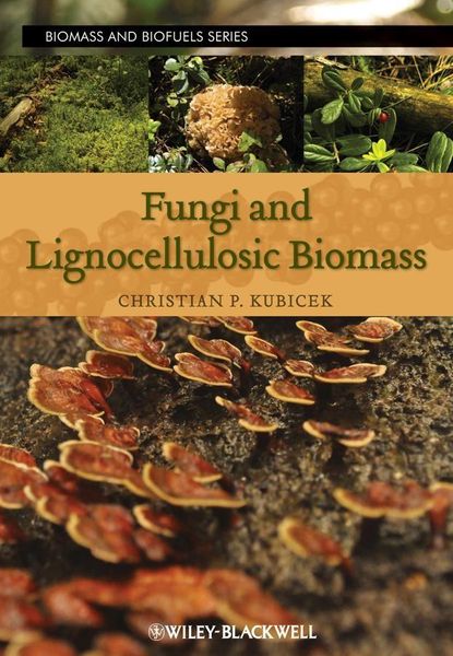 Produktbild: Fungi and Lignocellulosic Biomass