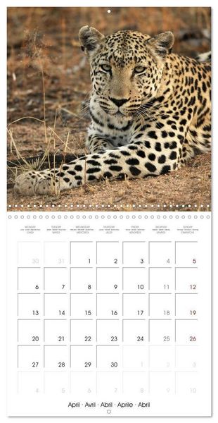 Produktbild: Namibian Adventure (Wall Calendar 2026 12 &times; 12 Inch) CALVENDO 12 Month Wall Calendar
