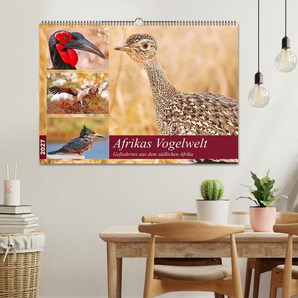 Produktbild: Afrikas Vogelwelt 2027 (Wandkalender 2027 DIN A2 quer), CALVENDO Monatskalender