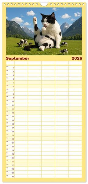 Produktbild: Familienplaner 2026 - Katzen Weltherrschaft mit 5 Spalten (Wandkalender, 21 x 45 cm) CALVENDO